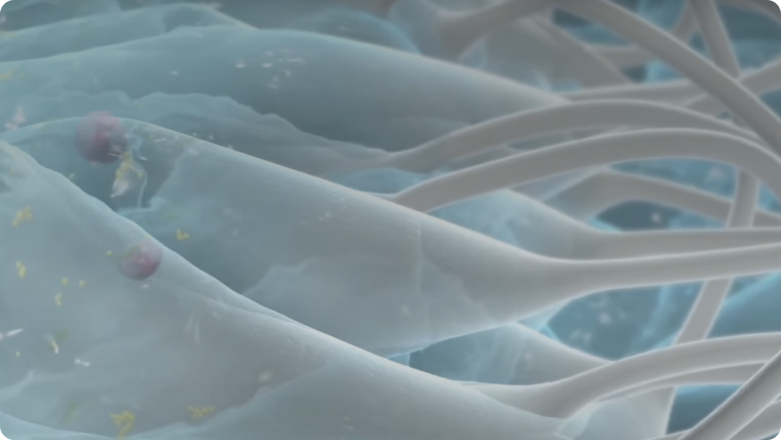 um close-up do rosto de uma pessoa