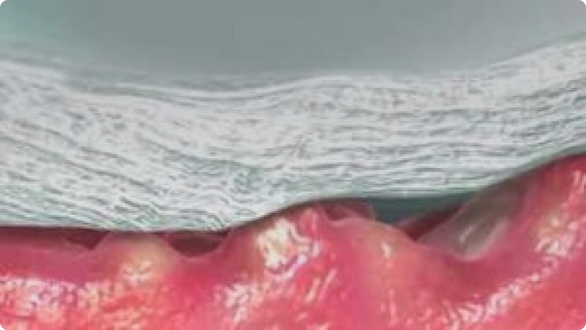 um close-up dos lábios de uma pessoa