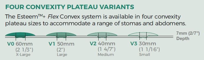 Aktualisierter Flex-Plateau-Leitfaden