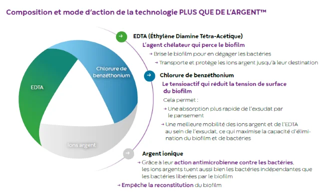 Composition et mode d'action de la technologie PLUS QUE DE L'ARGENT™