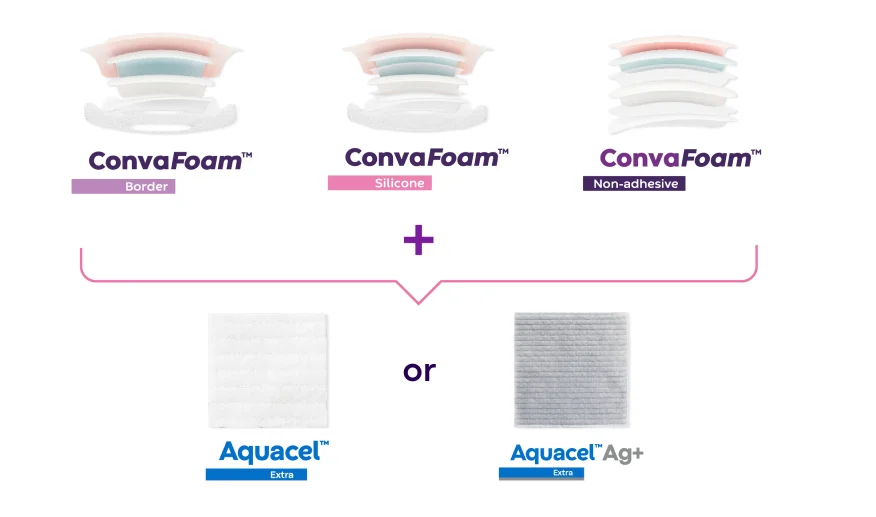 a screenshot of a computer