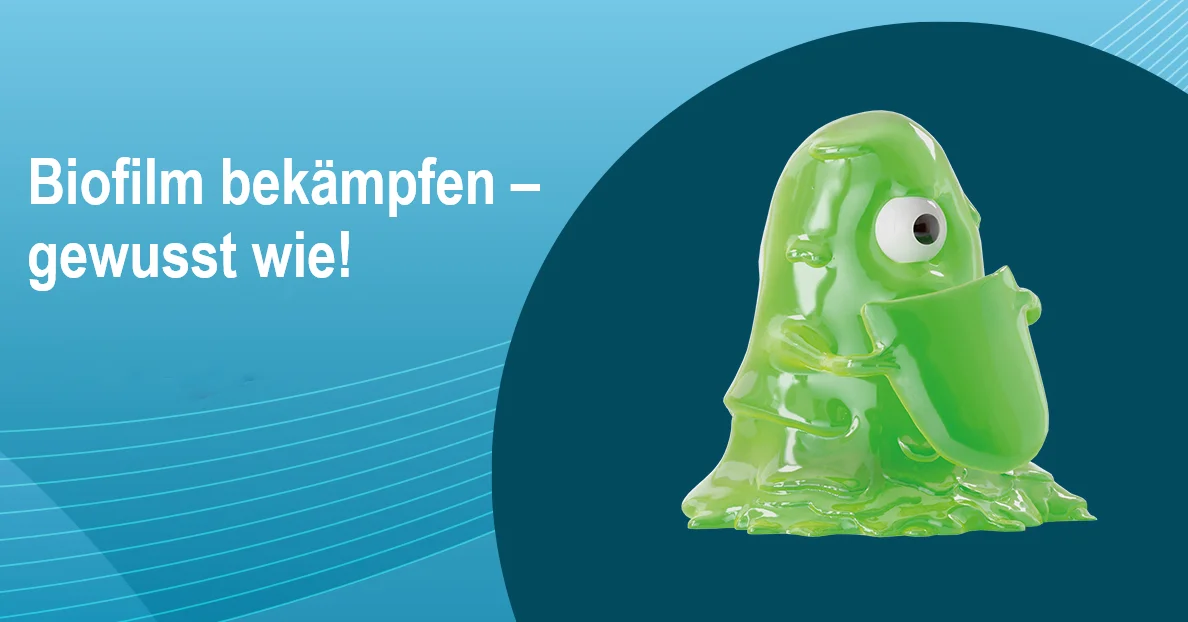 Biofilm bekämpfen - gewusst wie